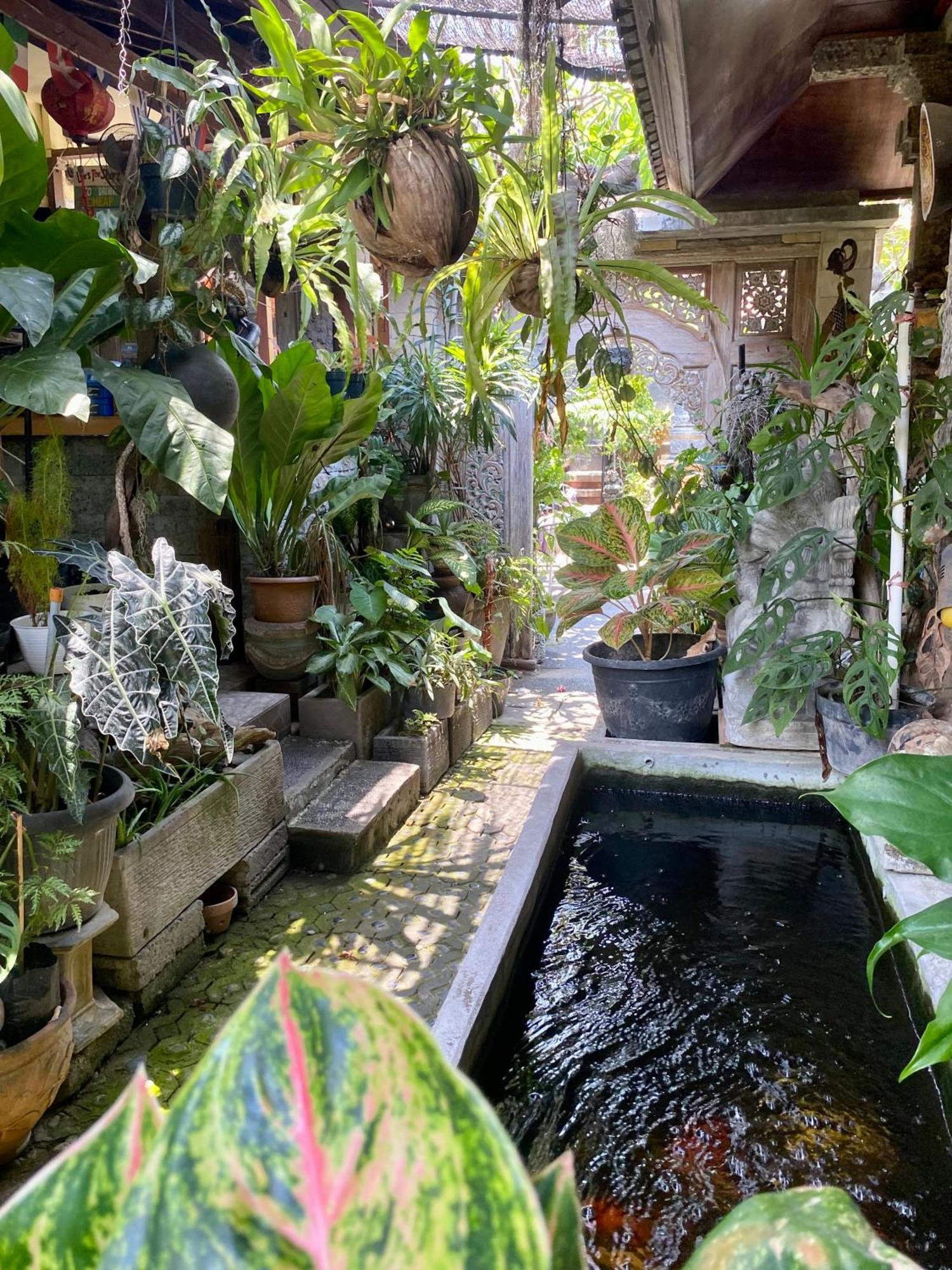 Frog Homestay Sanur Екстер'єр фото
